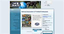 Desktop Screenshot of nationaltreibball.com